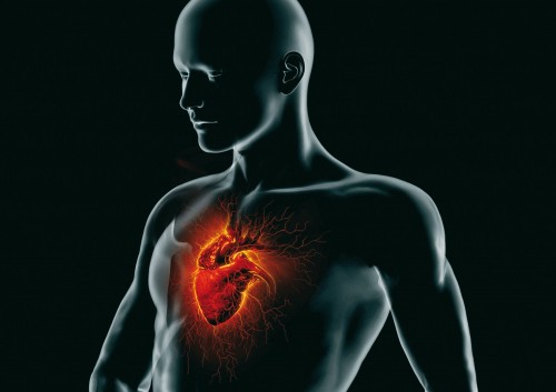 malattie cardiovascolari